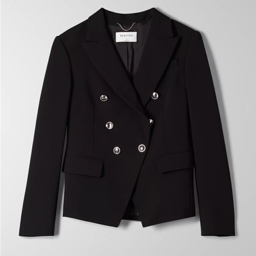 Babaton Encore Blazer Size 4